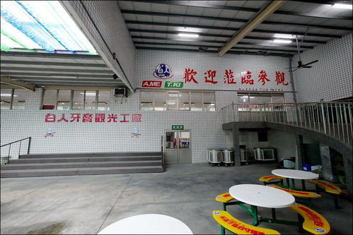 特立獨(dú)行的工業(yè)旅游體驗(yàn) 探訪臺(tái)灣白人牙膏觀光工廠